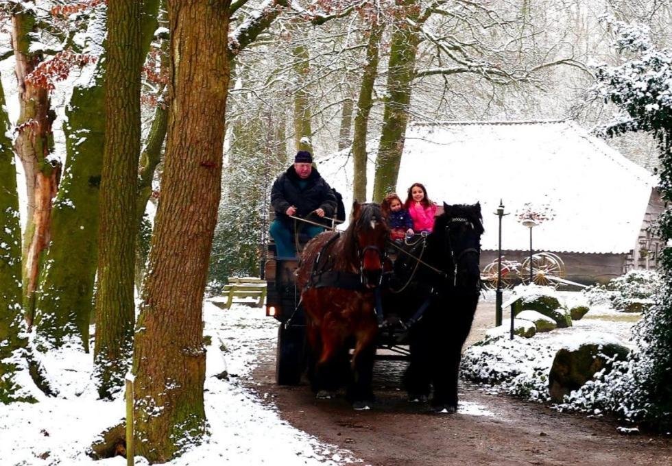 Hoeve Springendal Ootmarsum Exteriör bild