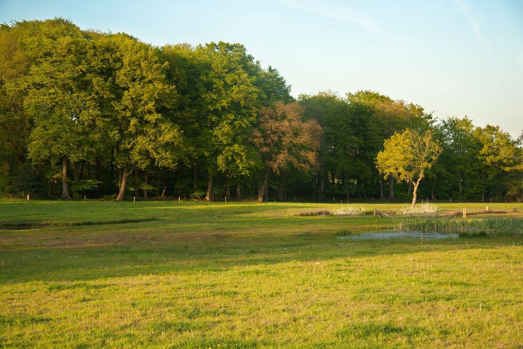 Hoeve Springendal Ootmarsum Exteriör bild