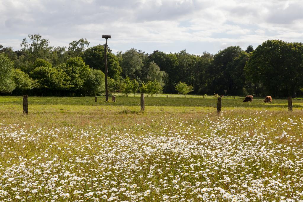 Hoeve Springendal Ootmarsum Exteriör bild
