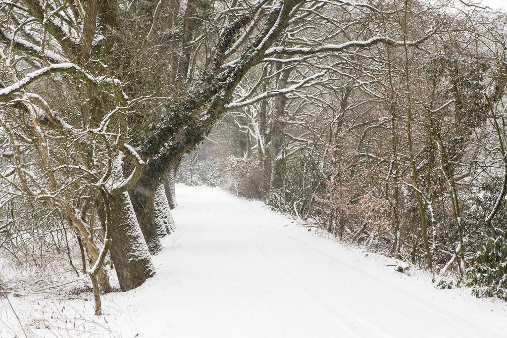 Hoeve Springendal Ootmarsum Exteriör bild