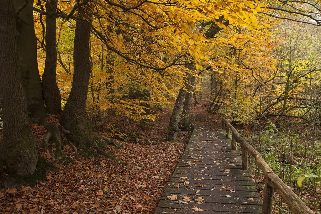 Hoeve Springendal Ootmarsum Exteriör bild