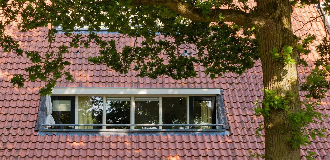 Hoeve Springendal Ootmarsum Exteriör bild