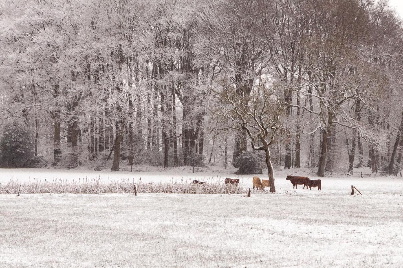 Hoeve Springendal Ootmarsum Exteriör bild
