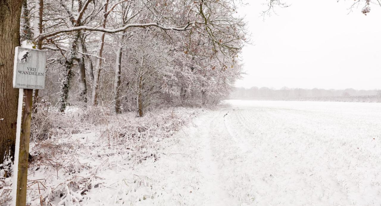 Hoeve Springendal Ootmarsum Exteriör bild
